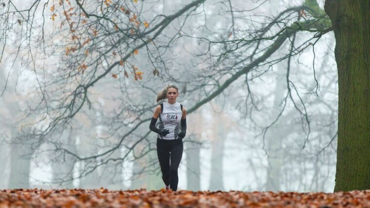 How to Stay Active and Exercise during the Holidays?